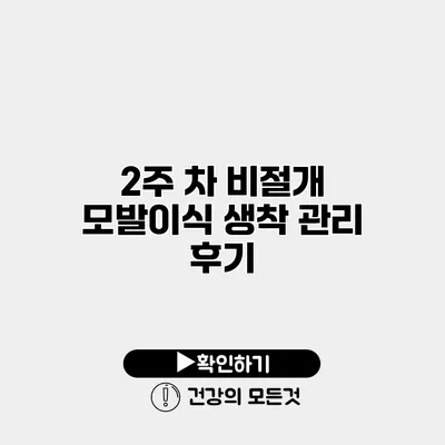 2주 차 비절개 모발이식 생착 관리 후기
