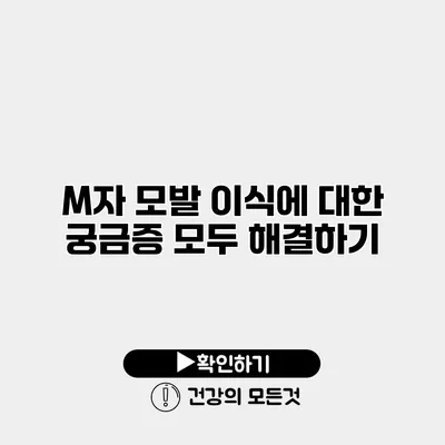 M자 모발 이식에 대한 궁금증 모두 해결하기
