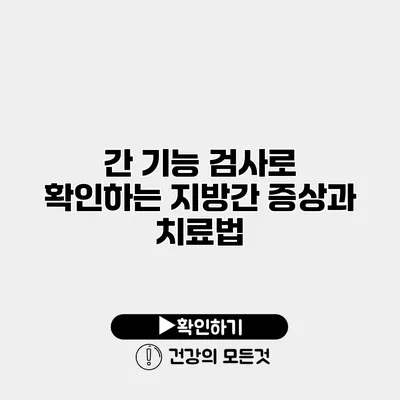 간 기능 검사로 확인하는 지방간 증상과 치료법