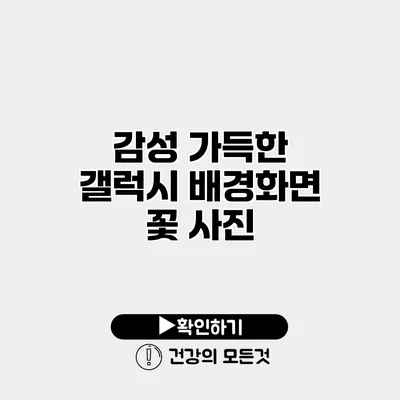 감성 가득한 갤럭시 배경화면 꽃 사진