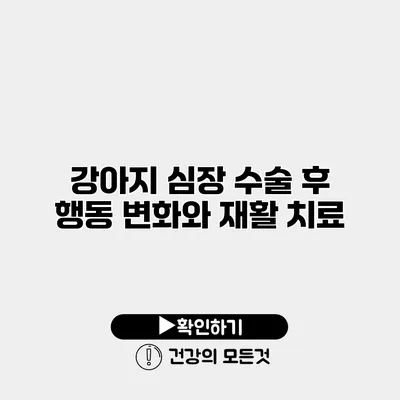 강아지 심장 수술 후 행동 변화와 재활 치료