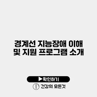 경계선 지능장애 이해 및 지원 프로그램 소개