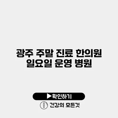 광주 주말 진료 한의원 일요일 운영 병원