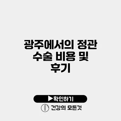 광주에서의 정관 수술 비용 및 후기