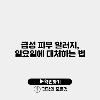 급성 피부 알러지, 일요일에 대처하는 법