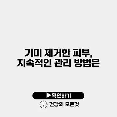 기미 제거한 피부, 지속적인 관리 방법은?