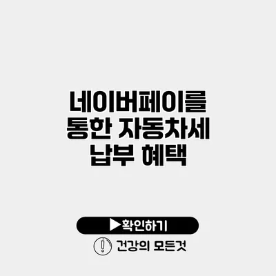 네이버페이를 통한 자동차세 납부 혜택