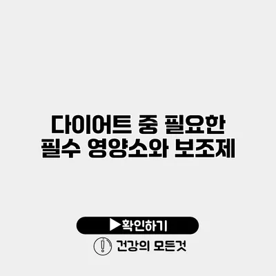 다이어트 중 필요한 필수 영양소와 보조제