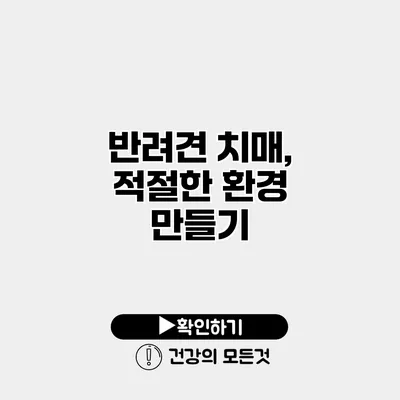 반려견 치매, 적절한 환경 만들기