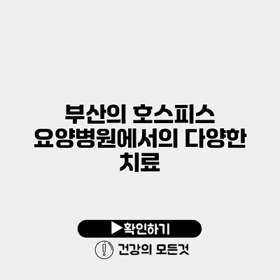 부산의 호스피스 요양병원에서의 다양한 치료