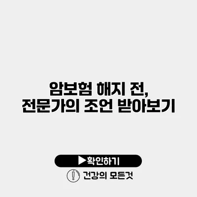 암보험 해지 전, 전문가의 조언 받아보기