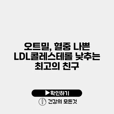 오트밀, 혈중 나쁜 LDL콜레스테롤 낮추는 최고의 친구