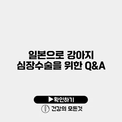 일본으로 강아지 심장수술을 위한 Q&A