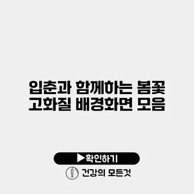입춘과 함께하는 봄꽃 고화질 배경화면 모음