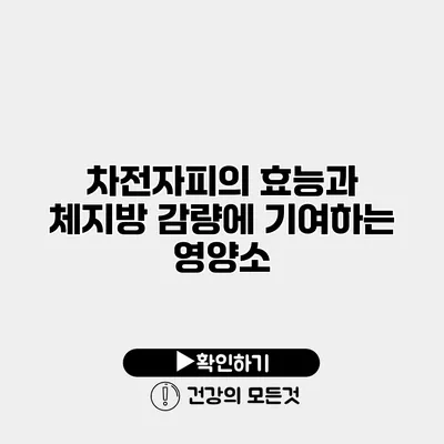 차전자피의 효능과 체지방 감량에 기여하는 영양소