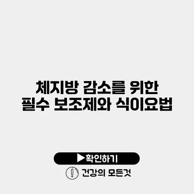 체지방 감소를 위한 필수 보조제와 식이요법