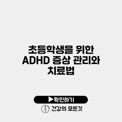 초등학생을 위한 ADHD 증상 관리와 치료법
