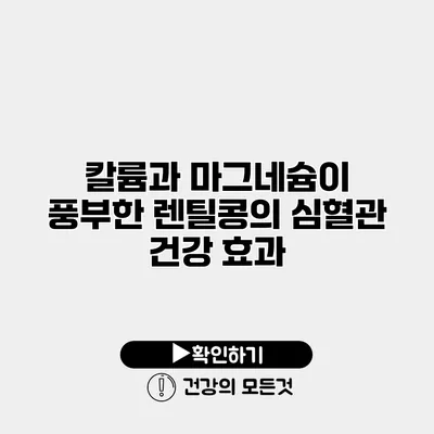 칼륨과 마그네슘이 풍부한 렌틸콩의 심혈관 건강 효과