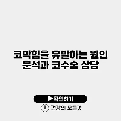코막힘을 유발하는 원인 분석과 코수술 상담