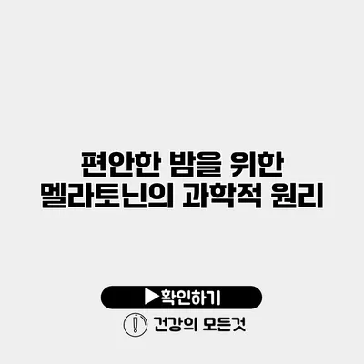 편안한 밤을 위한 멜라토닌의 과학적 원리