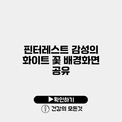 핀터레스트 감성의 화이트 꽃 배경화면 공유