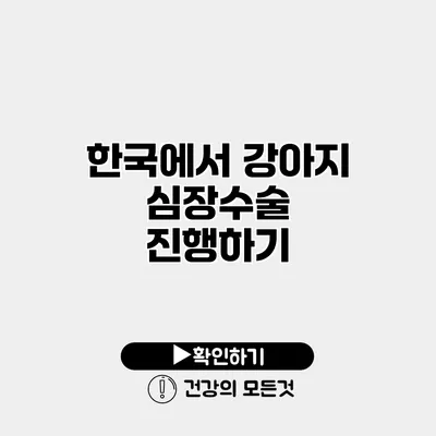 한국에서 강아지 심장수술 진행하기