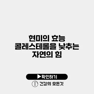현미의 효능 콜레스테롤을 낮추는 자연의 힘