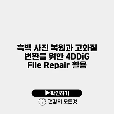 흑백 사진 복원과 고화질 변환을 위한 4DDiG File Repair 활용