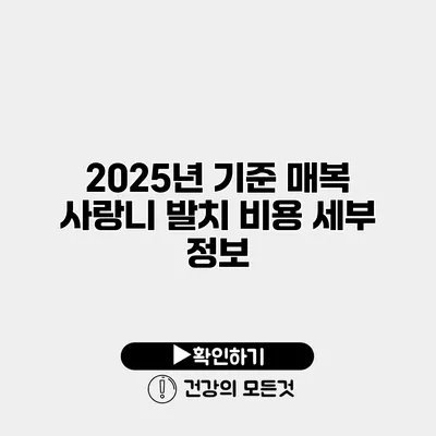 2025년 기준 매복 사랑니 발치 비용 세부 정보