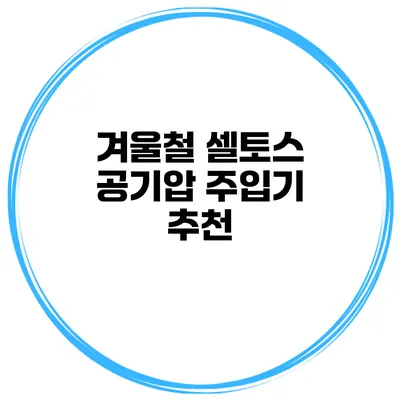 겨울철 셀토스 공기압 주입기 추천