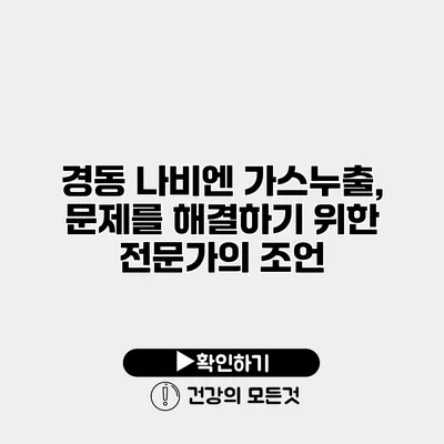 경동 나비엔 가스누출, 문제를 해결하기 위한 전문가의 조언
