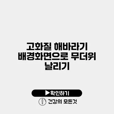 고화질 해바라기 배경화면으로 무더위 날리기