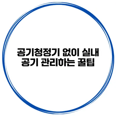 공기청정기 없이 실내 공기 관리하는 꿀팁