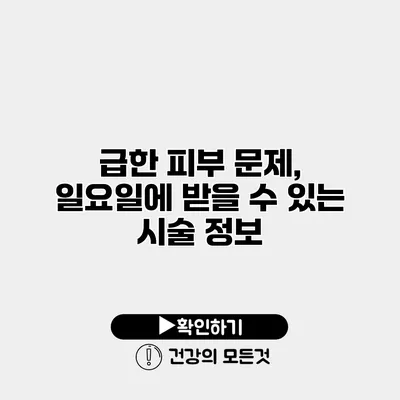 급한 피부 문제, 일요일에 받을 수 있는 시술 정보
