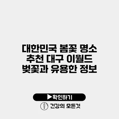대한민국 봄꽃 명소 추천 대구 이월드 벚꽃과 유용한 정보