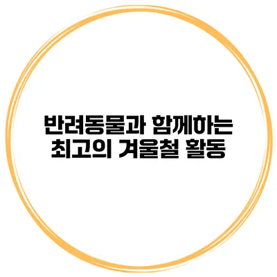 반려동물과 함께하는 최고의 겨울철 활동
