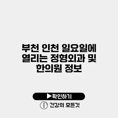 부천 인천 일요일에 열리는 정형외과 및 한의원 정보