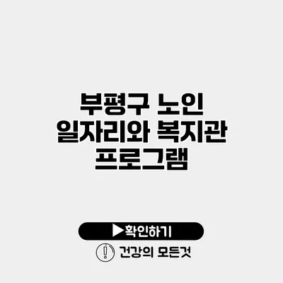 부평구 노인 일자리와 복지관 프로그램