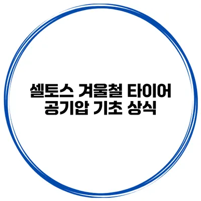 셀토스 겨울철 타이어 공기압 기초 상식