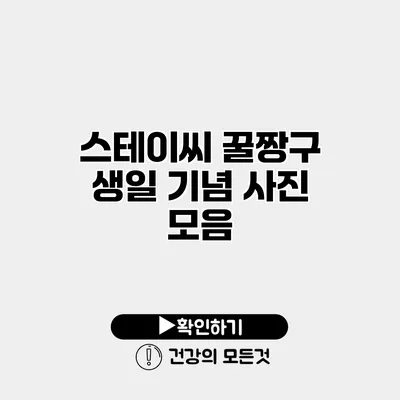 스테이씨 꿀짱구 생일 기념 사진 모음