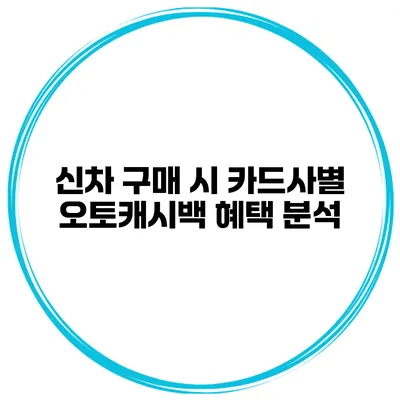 신차 구매 시 카드사별 오토캐시백 혜택 분석