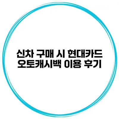 신차 구매 시 현대카드 오토캐시백 이용 후기