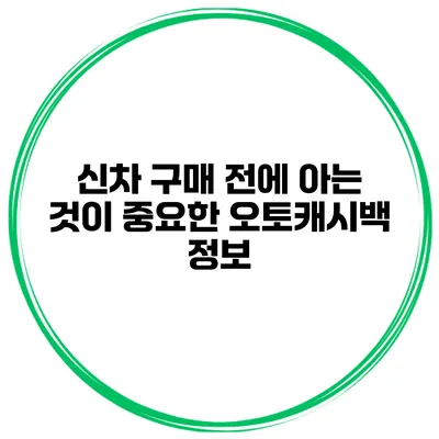 신차 구매 전에 아는 것이 중요한 오토캐시백 정보