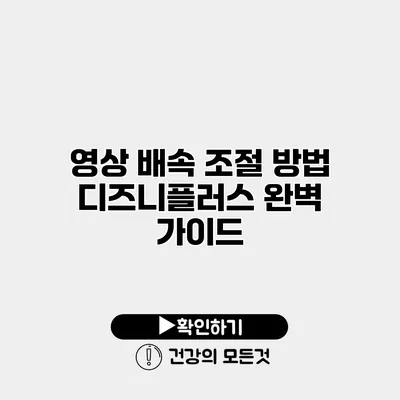영상 배속 조절 방법 디즈니플러스 완벽 가이드