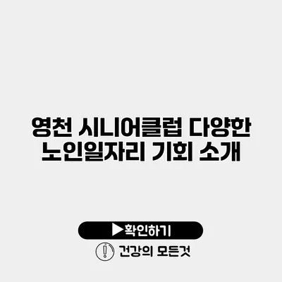 영천 시니어클럽 다양한 노인일자리 기회 소개