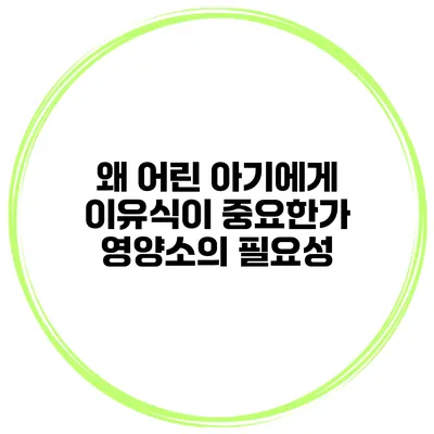 왜 어린 아기에게 이유식이 중요한가? 영양소의 필요성