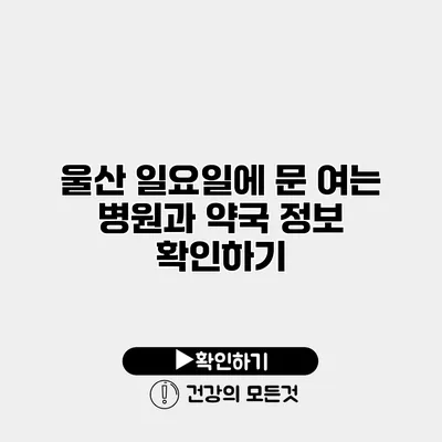 울산 일요일에 문 여는 병원과 약국 정보 확인하기