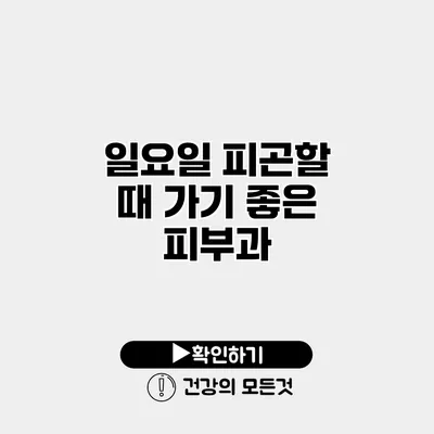 일요일 피곤할 때 가기 좋은 피부과