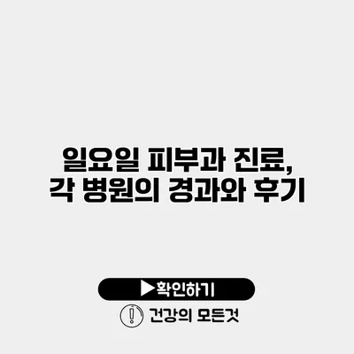 일요일 피부과 진료, 각 병원의 경과와 후기