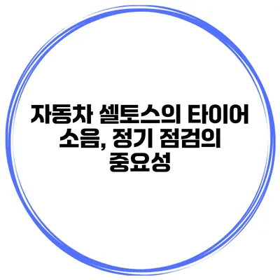자동차 셀토스의 타이어 소음, 정기 점검의 중요성